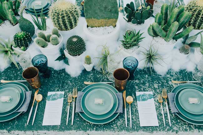 decoration table theme cactus